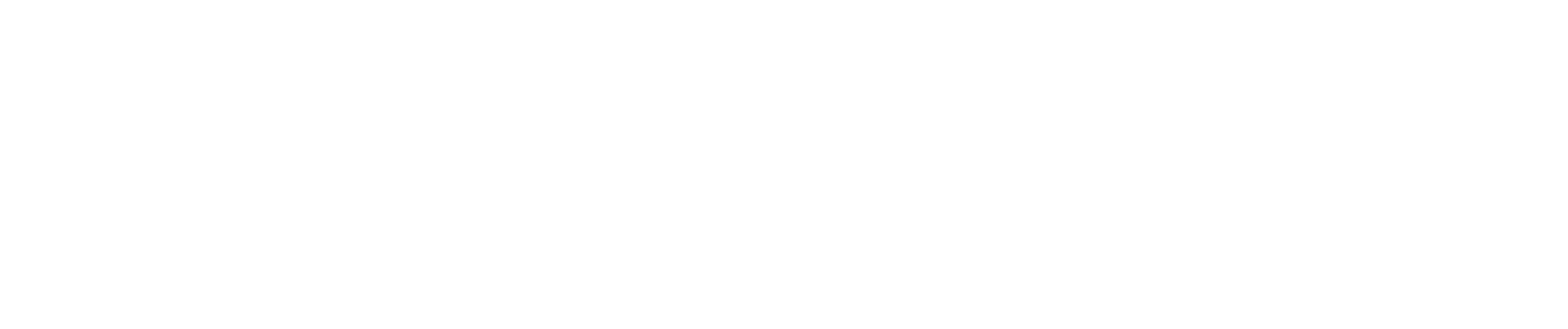 european flag